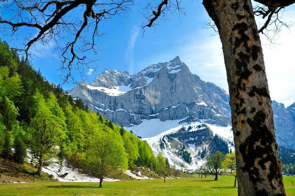 Apartamento Alpenfreund Mittenwald Exterior foto