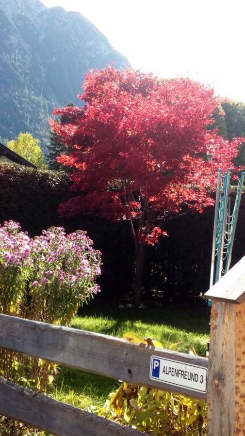 Apartamento Alpenfreund Mittenwald Exterior foto
